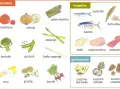 Ilustracja pokazuje produkty bogate w glutaminian, inozynian i guanozynian, które nadają potrawom smak umami.