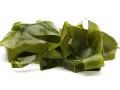 Zielone, błyszczące wstążki alg. Czy to nori? Tak, to właśnie nori, które można wykorzystać do sushi.