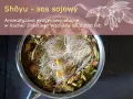 Garnek z daniem z makaronem i warzywami, ozdobiony rysunkiem liści soi.