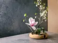 Delikatne kompozycje ikebana: różowa magnolia i białe kwiaty na gałązkach, w ceramicznej misie.
