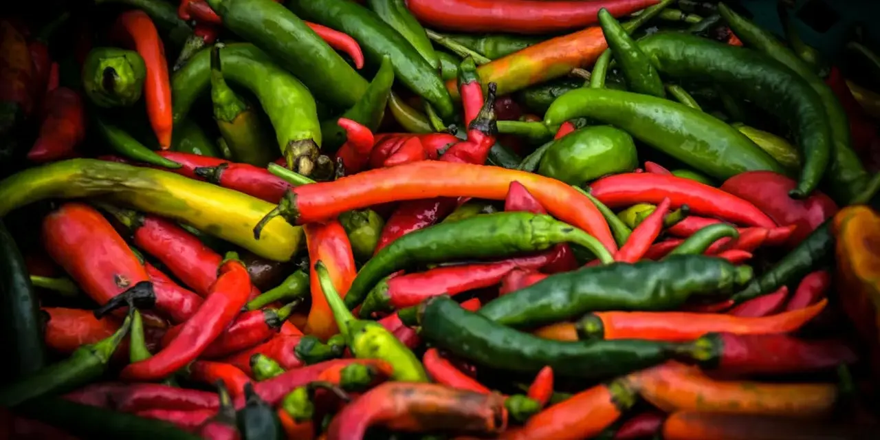 Mnóstwo kolorowych papryczek chili, od zielonych po czerwone i żółte. Czy papryczka chili jest zdrowa? Tak, jest pełna witamin!
