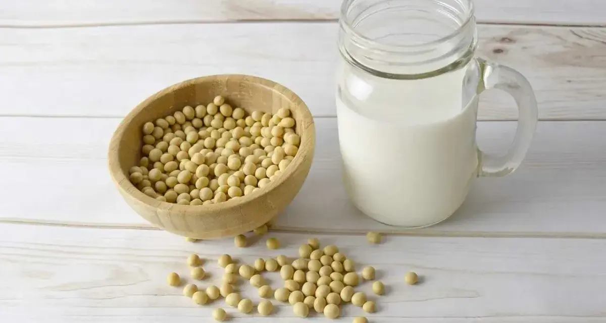 Misternie ułożone ziarna soi w drewnianej misce i szklanka mleka sojowego. Czy soja ma gluten? Nie, soja jest bezglutenowa.