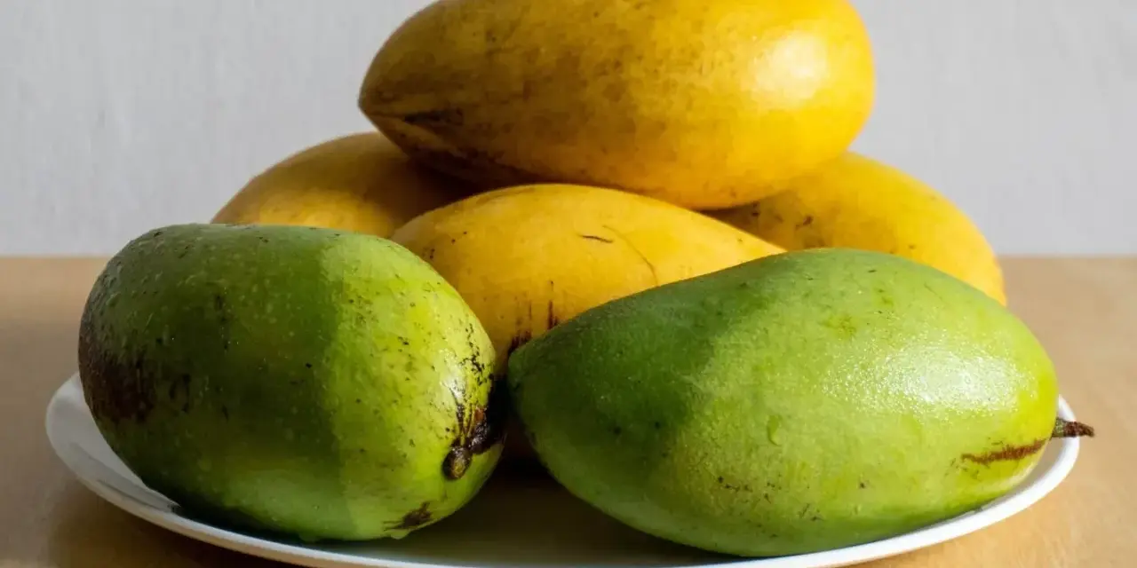 Dwa soczyste, zielone mango leżą na talerzu obok żółtych owoców.
