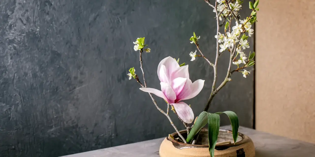 Delikatne kompozycje ikebana: różowa magnolia i białe kwiaty na gałązkach, w ceramicznej misie.