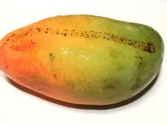 Okrągłe, owalne mango z przejściem kolorów od pomarańczowego do zielonego, z drobnymi, ciemnymi plamkami.