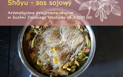 Garnek z daniem z makaronem i warzywami, ozdobiony rysunkiem liści soi.