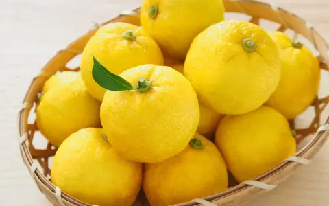 Kosz pełen żółtych owoców yuzu. To cytrusy o wyrazistym aromacie, często używane w kuchni azjatyckiej.