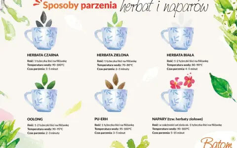 W jakiej temperaturze parzyć zieloną herbatę? 70-80°C to idealna temperatura dla zielonej herbaty, by wydobyć jej pełnię smaku.