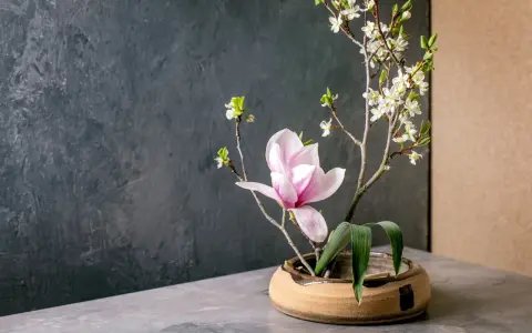 Delikatne kompozycje ikebana: różowa magnolia i białe kwiaty na gałązkach, w ceramicznej misie.