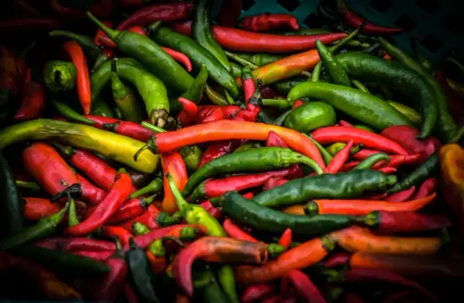 Mnóstwo kolorowych papryczek chili, od zielonych po czerwone i żółte. Czy papryczka chili jest zdrowa? Tak, jest pełna witamin!