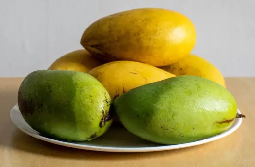 Dwa soczyste, zielone mango leżą na talerzu obok żółtych owoców.
