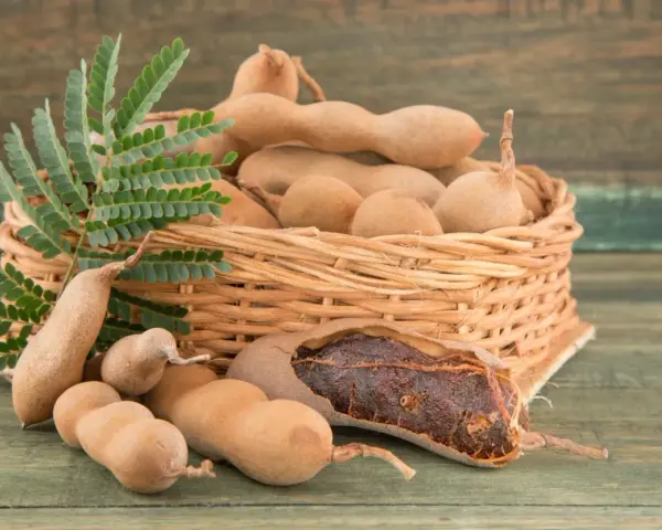 Koszyk pełen owoców tamaryndowca, idealnych do przygotowania pysznych dań. Odkryj pasta z tamaryndowca przepisy!