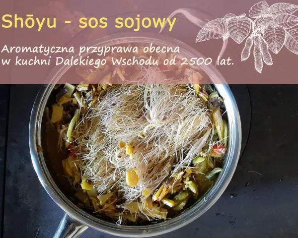 Garnek z daniem z makaronem i warzywami, ozdobiony rysunkiem liści soi.