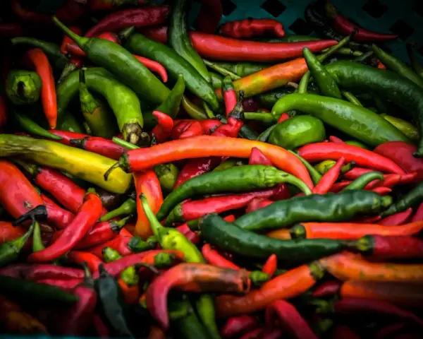 Mnóstwo kolorowych papryczek chili, od zielonych po czerwone i żółte. Czy papryczka chili jest zdrowa? Tak, jest pełna witamin!