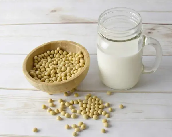 Misternie ułożone ziarna soi w drewnianej misce i szklanka mleka sojowego. Czy soja ma gluten? Nie, soja jest bezglutenowa.