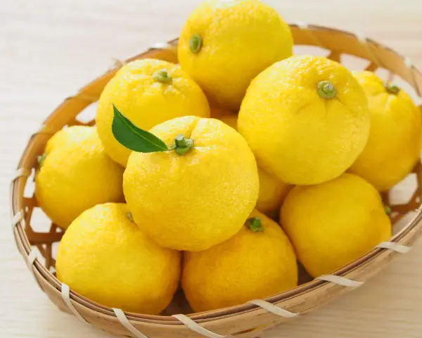 Kosz pełen żółtych owoców yuzu. To cytrusy o wyrazistym aromacie, często używane w kuchni azjatyckiej.