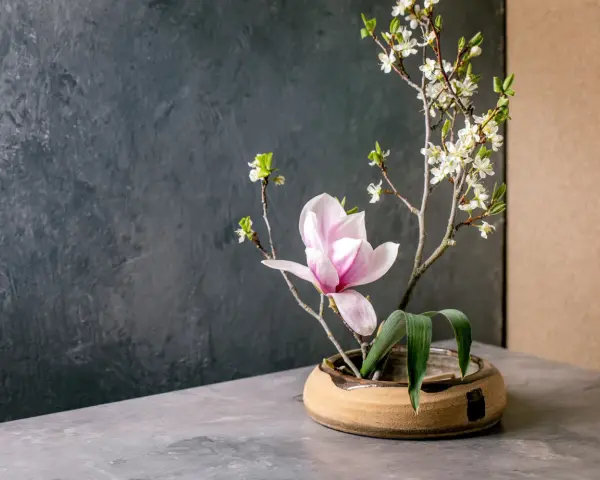 Delikatne kompozycje ikebana: różowa magnolia i białe kwiaty na gałązkach, w ceramicznej misie.