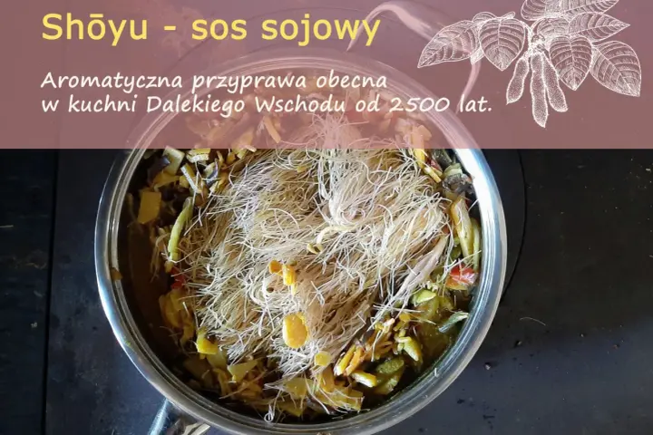 Garnek z daniem z makaronem i warzywami, ozdobiony rysunkiem liści soi.