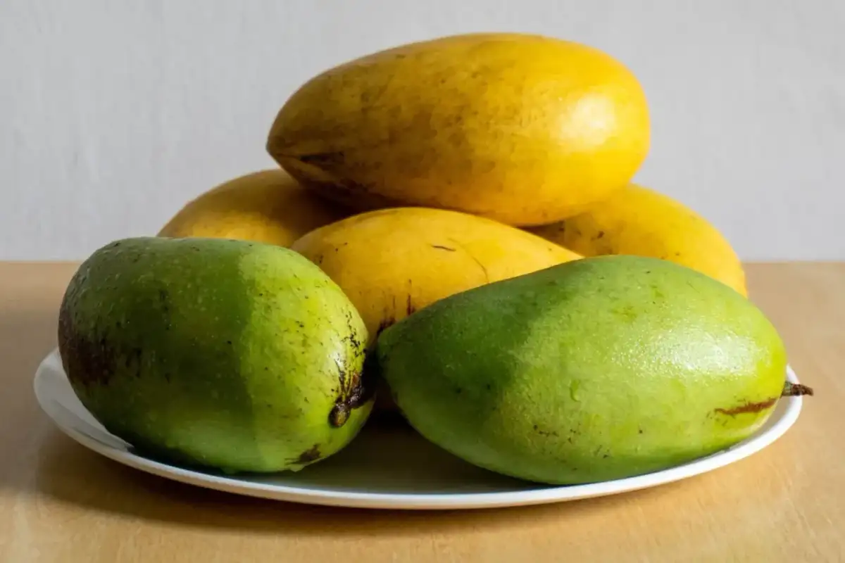 Dwa soczyste, zielone mango leżą na talerzu obok żółtych owoców.