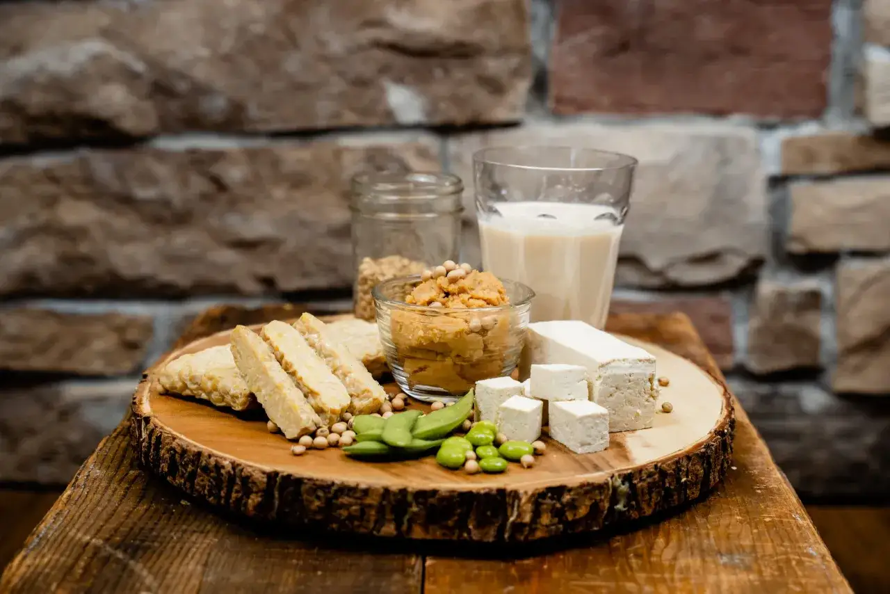 Różne produkty sojowe: tempeh, tofu, pasta, mleko, ziarna i edamame. Czy soja jest zdrowa? Tak, to wszechstronne źródło białka.