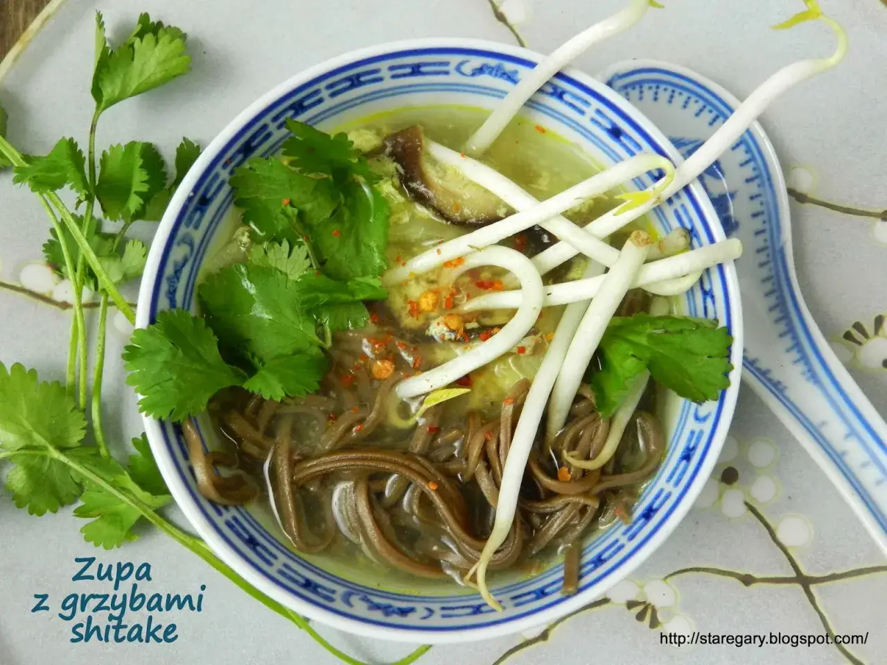 Aromaticzna zupa z grzybami shitake, makaronem soba, kiełkami fasoli mung i świeżą kolendrą.