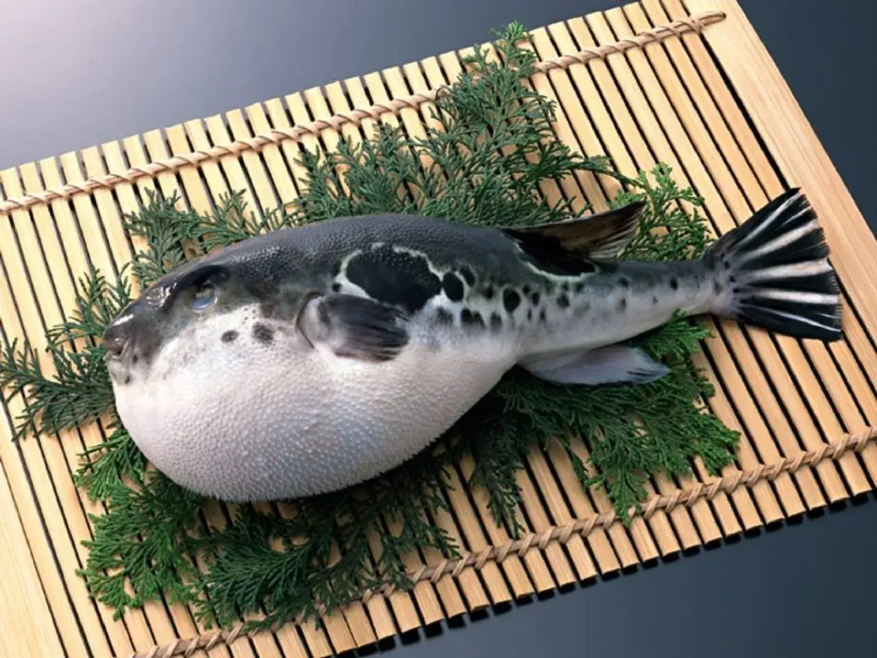 Ryba fugu, przygotowana do sushi, leży na bambusowej macie wśr&oacute;d gałązek.
